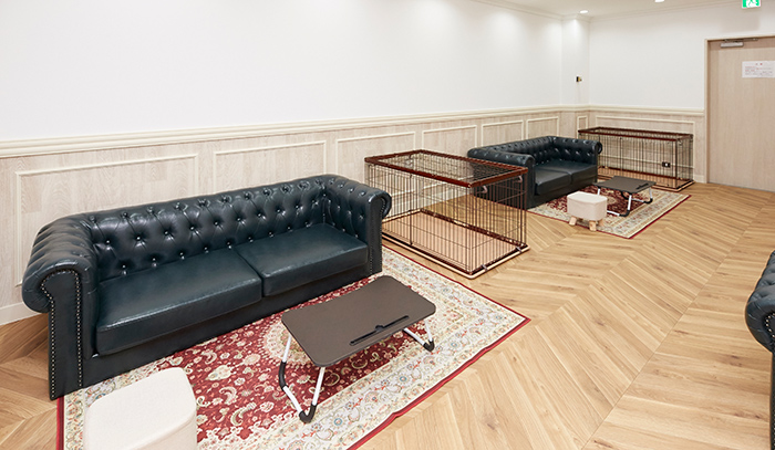 こうのとりセンター 品川 様子